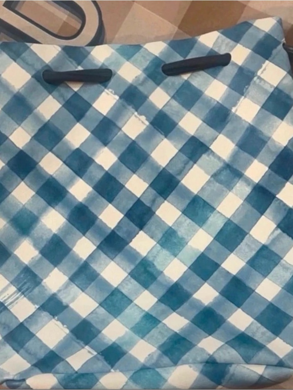Bed Bath & Beyond Blue and White Checkered Tote